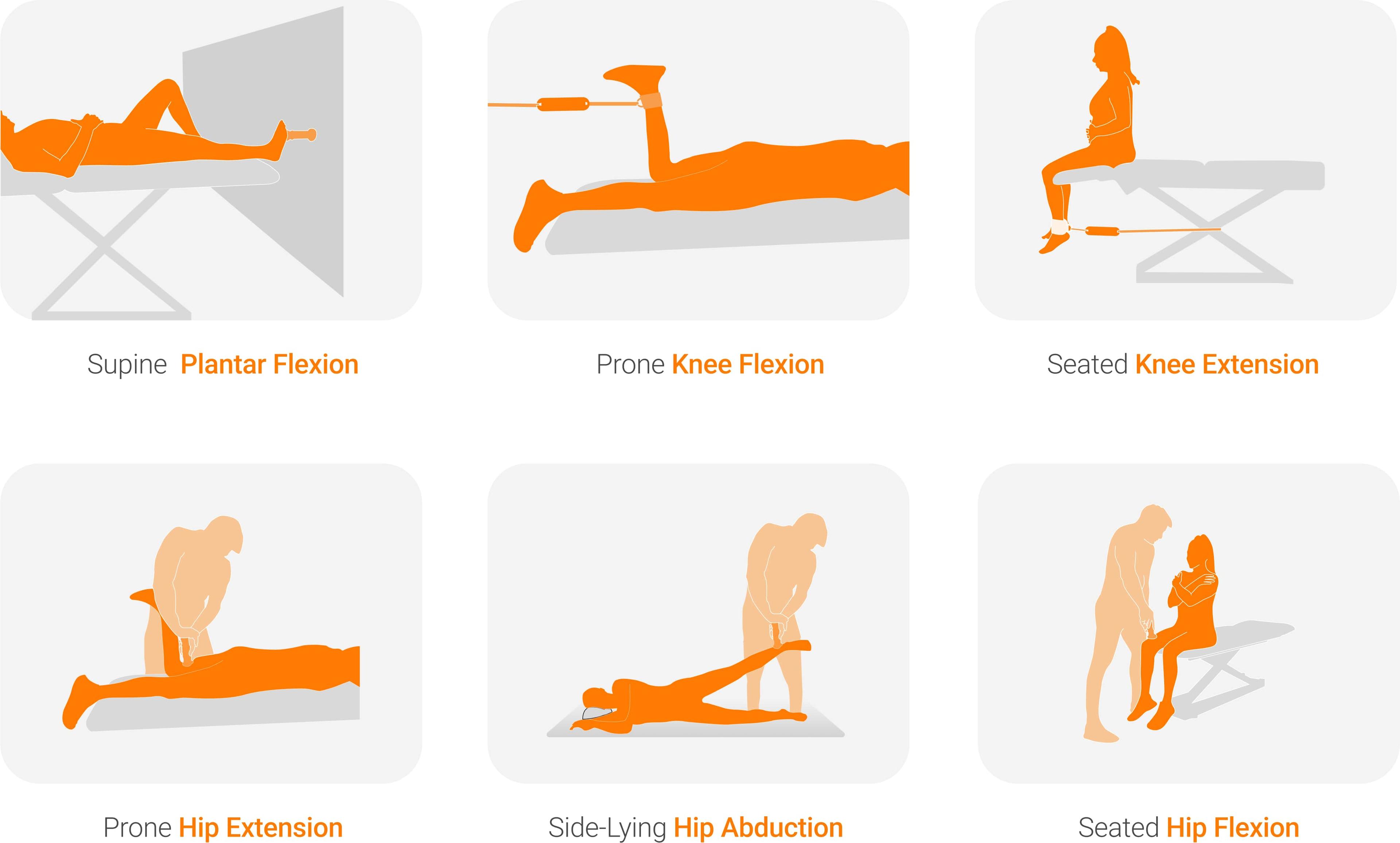 Lower extremity strength assessment options. Find these and more protocols on VALD’s Knowledge Base.