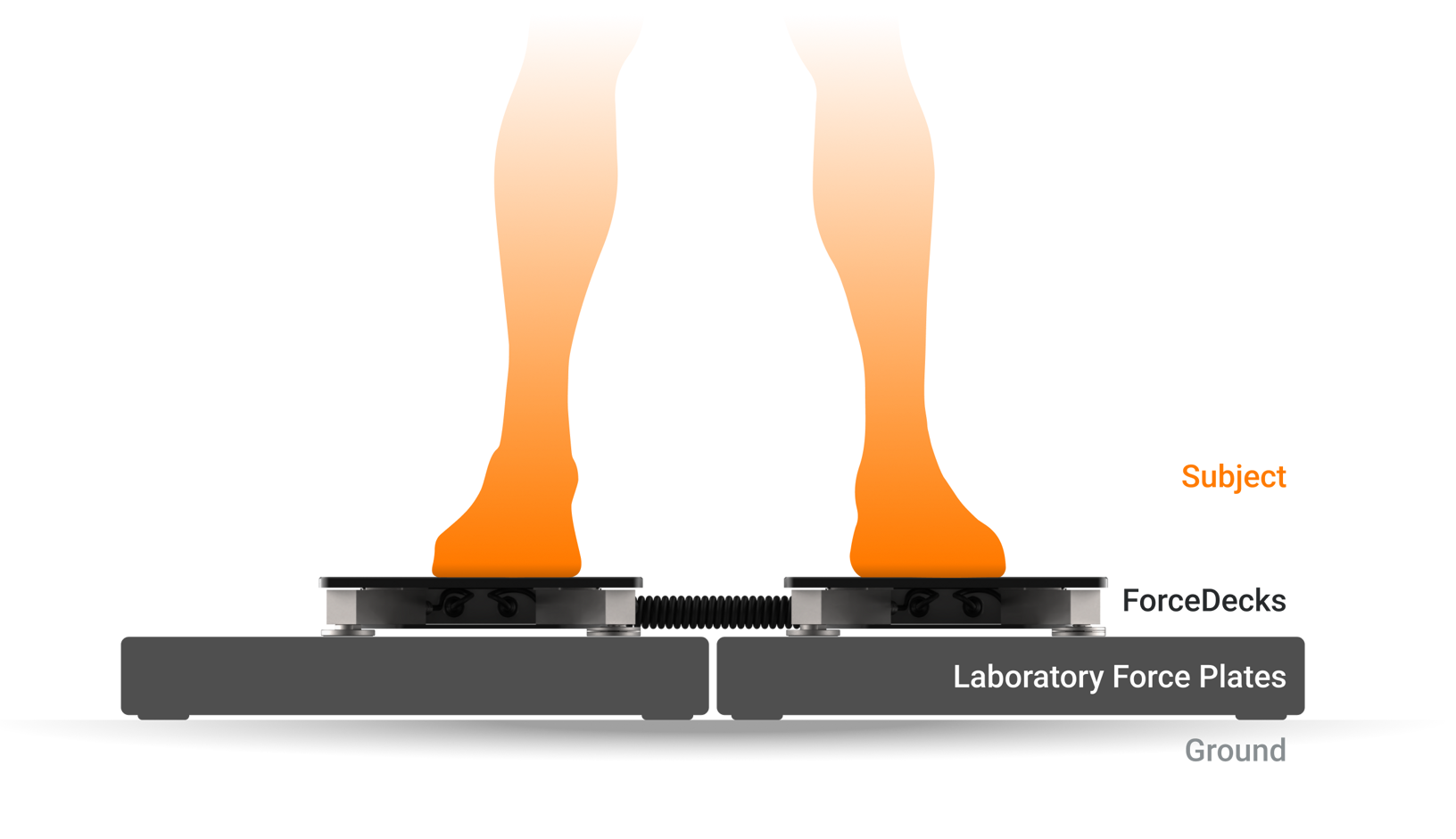 ForceDecks were placed atop AMTI plates so that data could be captured simultaneously.