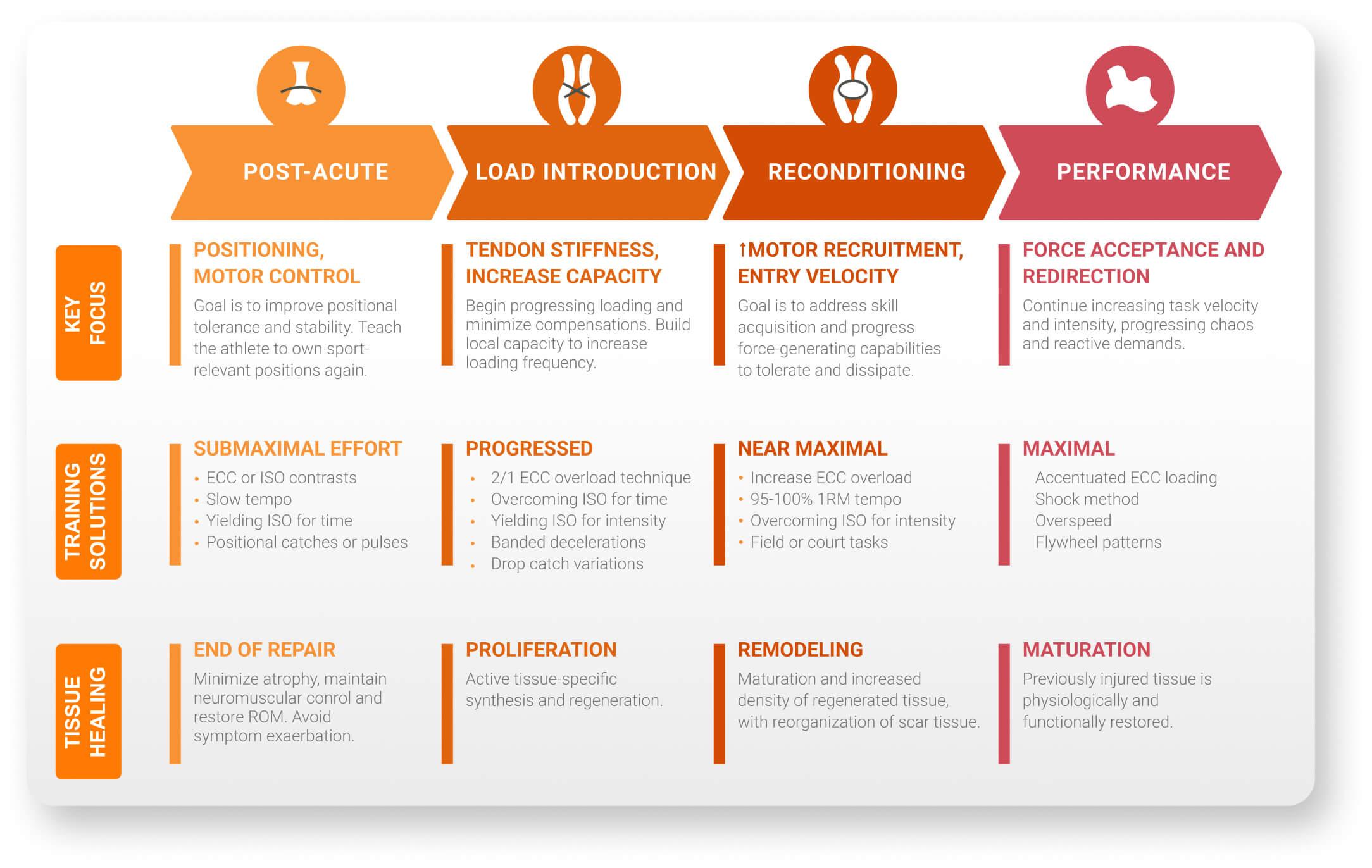 ECC: Eccentric; ISO: Isometric; ROM: Range of motion; 1RM: One-repetition maximum