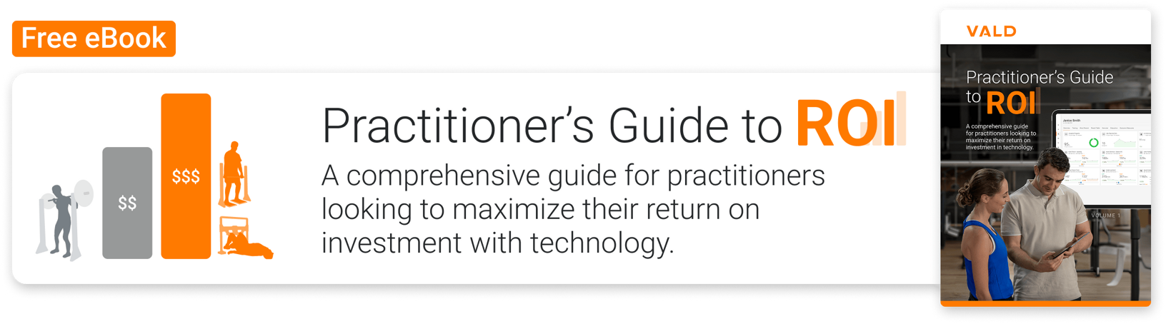 Practitioner's Guide to ROI