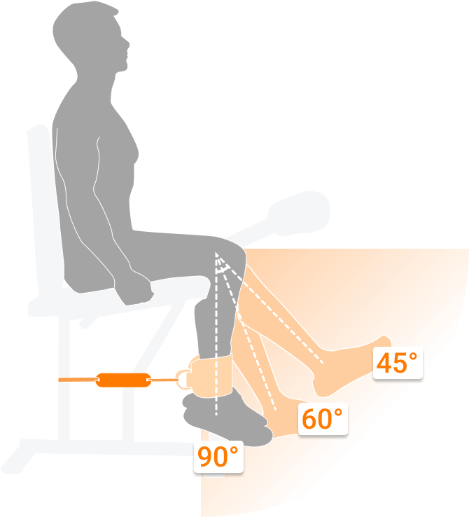 Demonstration of three common testing angles available in the DynaMo App.