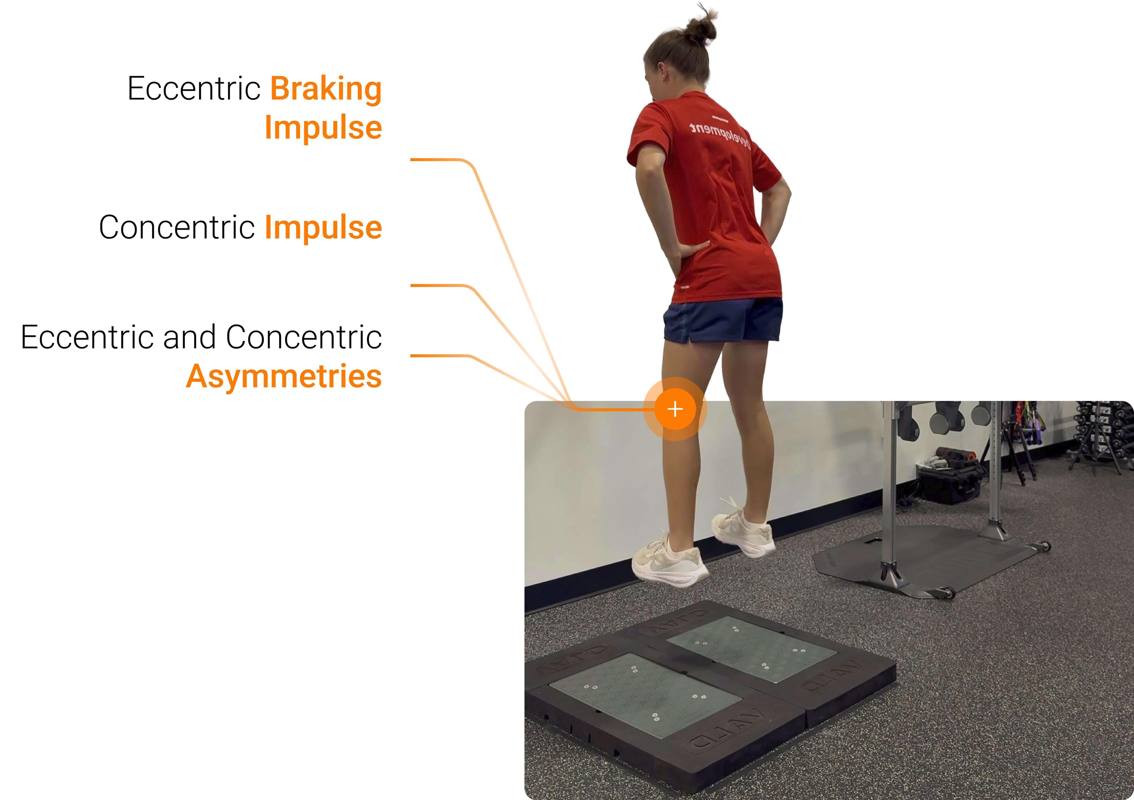 Countermovement jump metrics