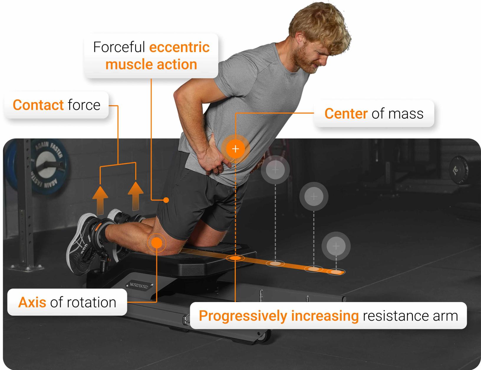 Mechanical demands of the NHE visualized.