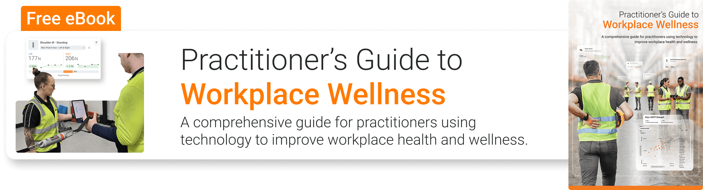 Practitioner’s Guide to Workplace Wellness