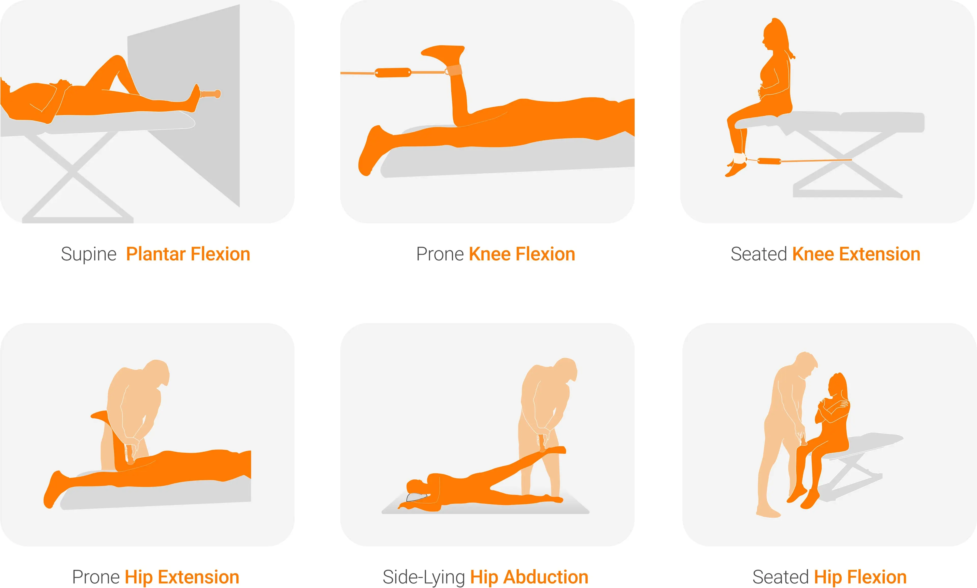 Lower extremity strength assessment options. Find these and more protocols on VALD’s Knowledge Base.