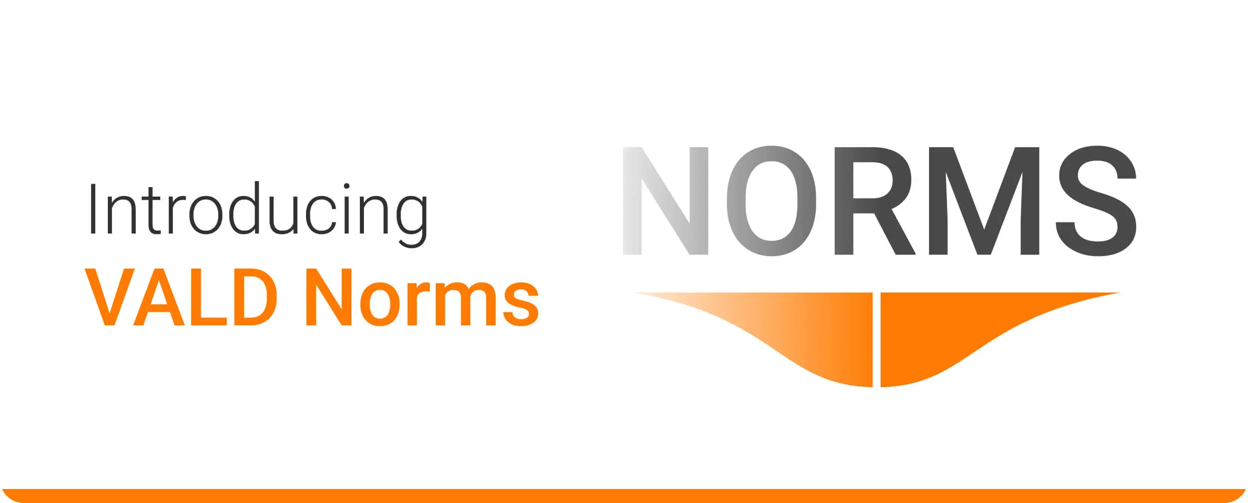 Introducing Norms