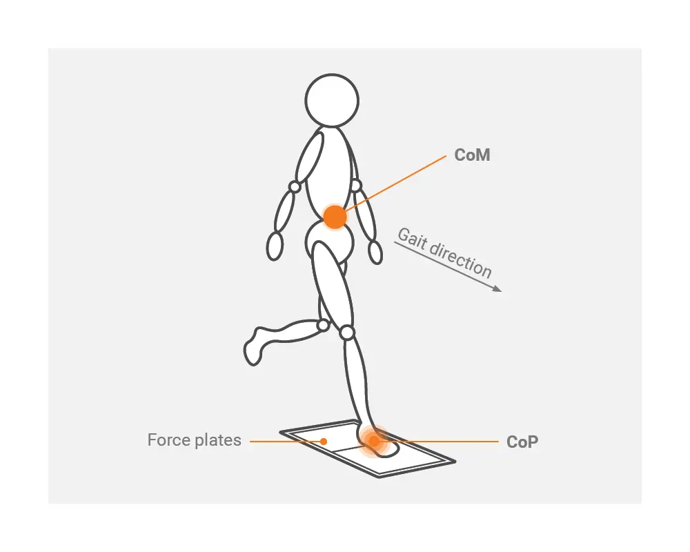 The location of Centre of Mass (CoM) and Centre of Pressure (CoP) on the human body when stepping on a force plate.