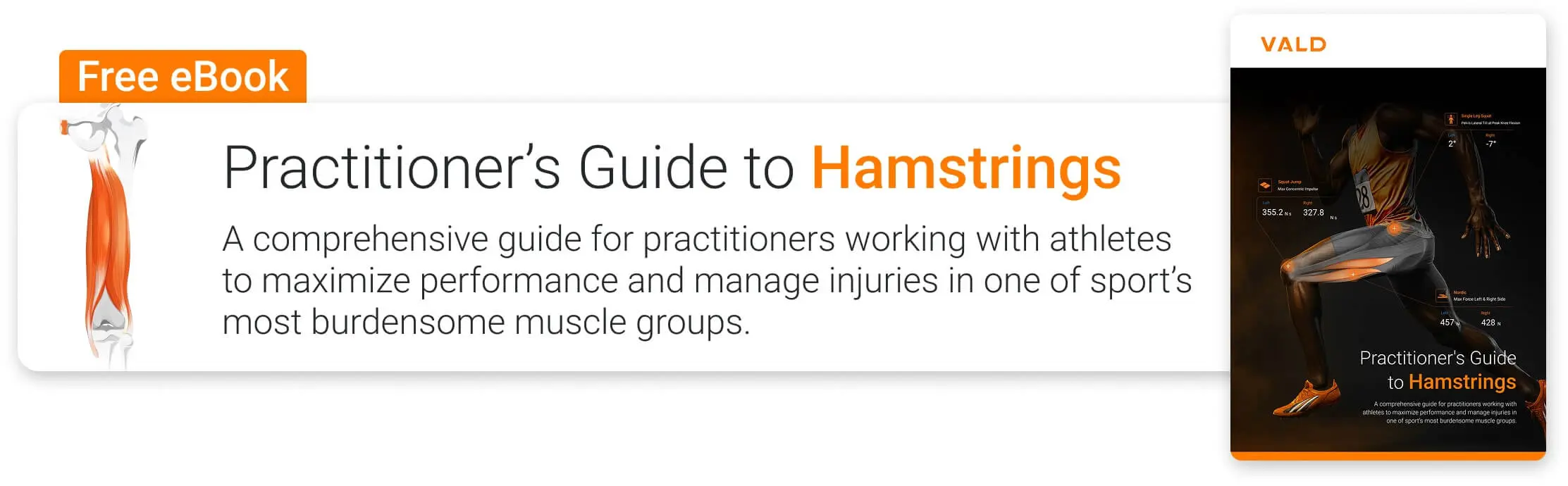 Practitioner’s Guide to Hamstrings Banner