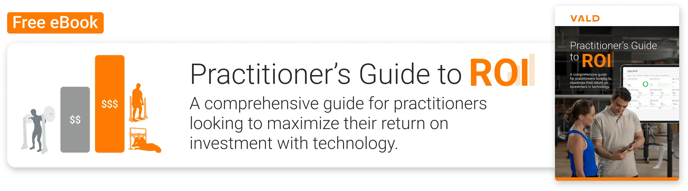 Practitioner's Guide to ROI