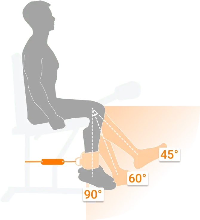 Demonstration of three common testing angles available in the DynaMo App.