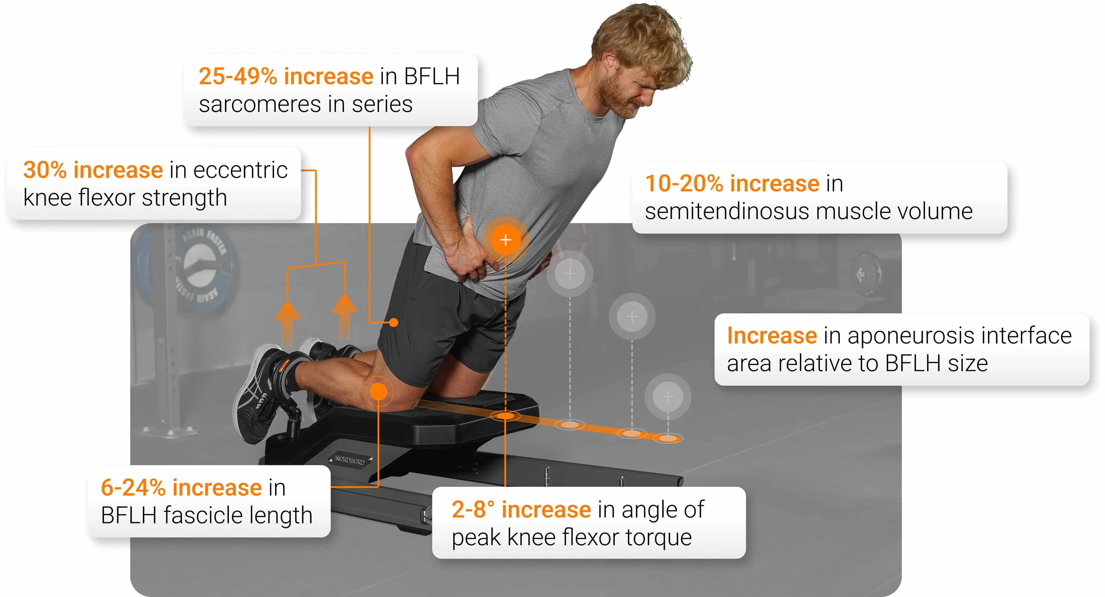Potential mechanisms underpinning the injury-prevention benefits of the NHE. Information supplied by Dr. Tyler Collings.
