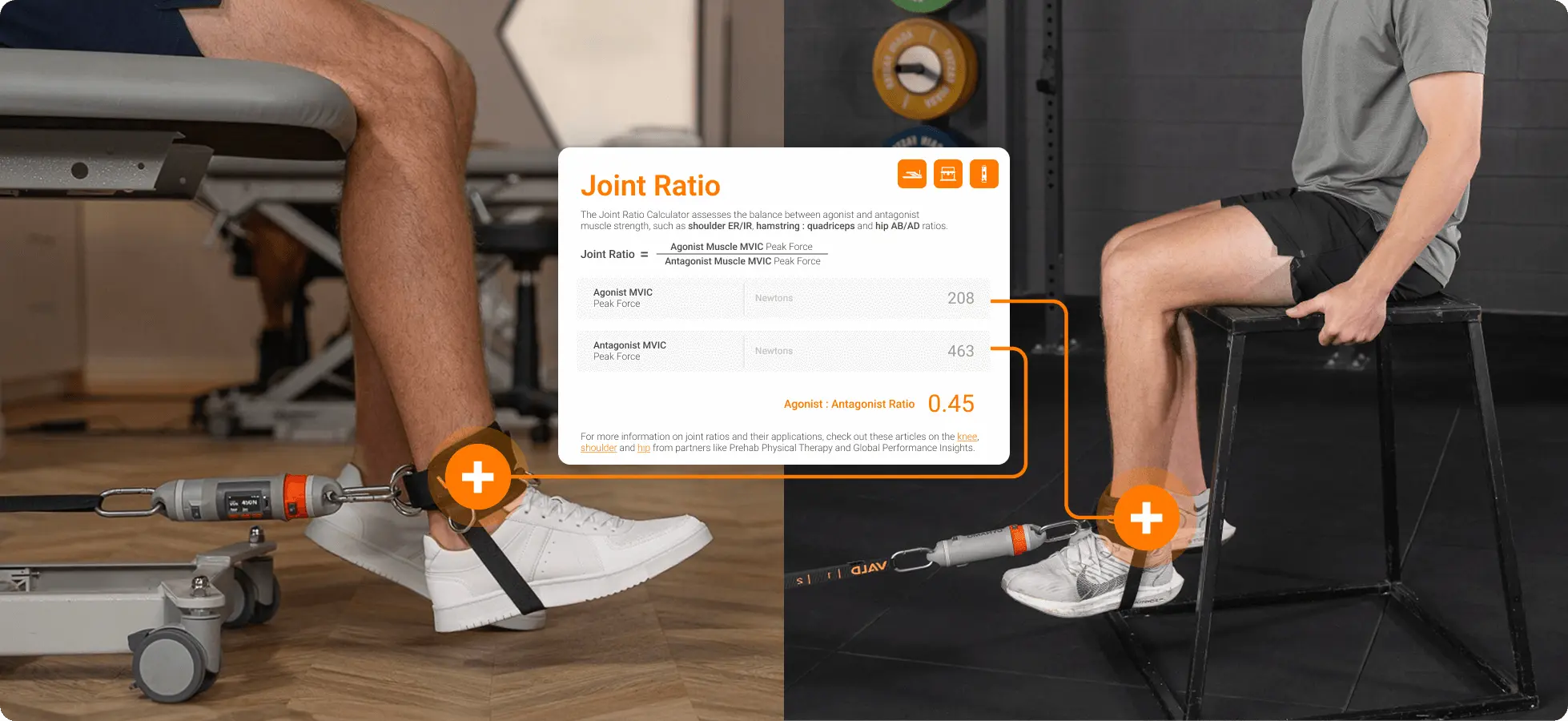 Joint Ratio Calculator