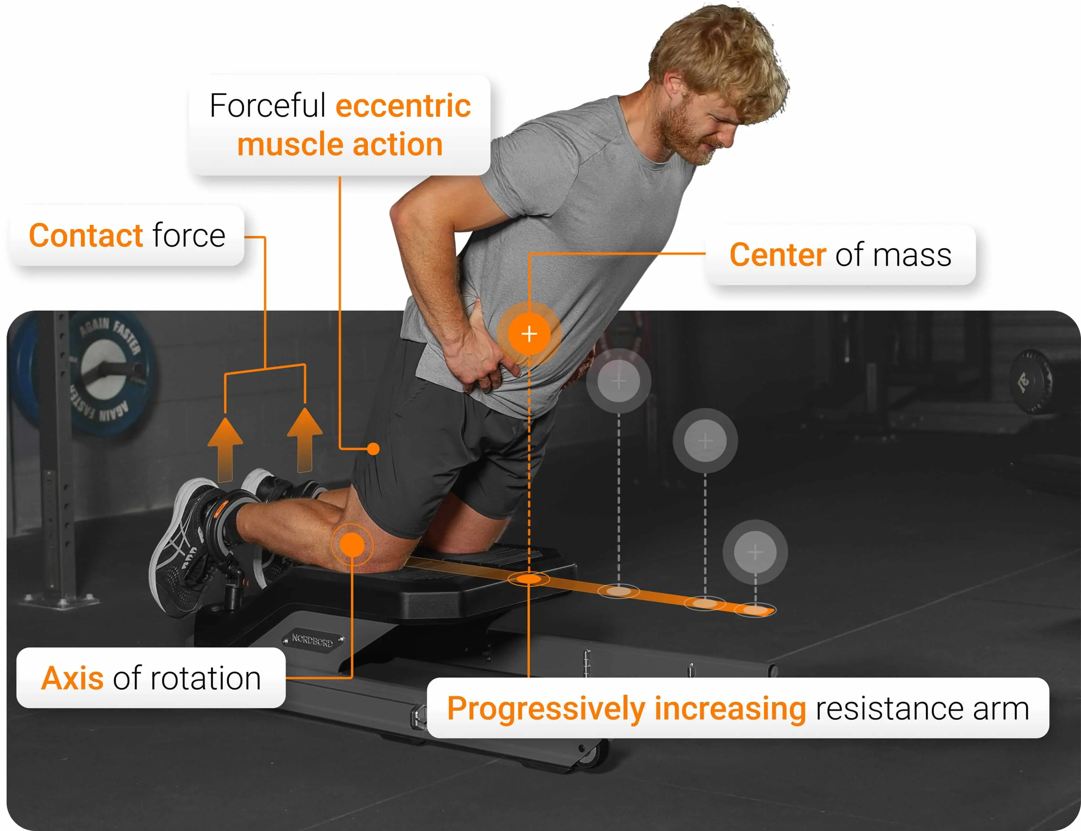 Mechanical demands of the NHE visualized.