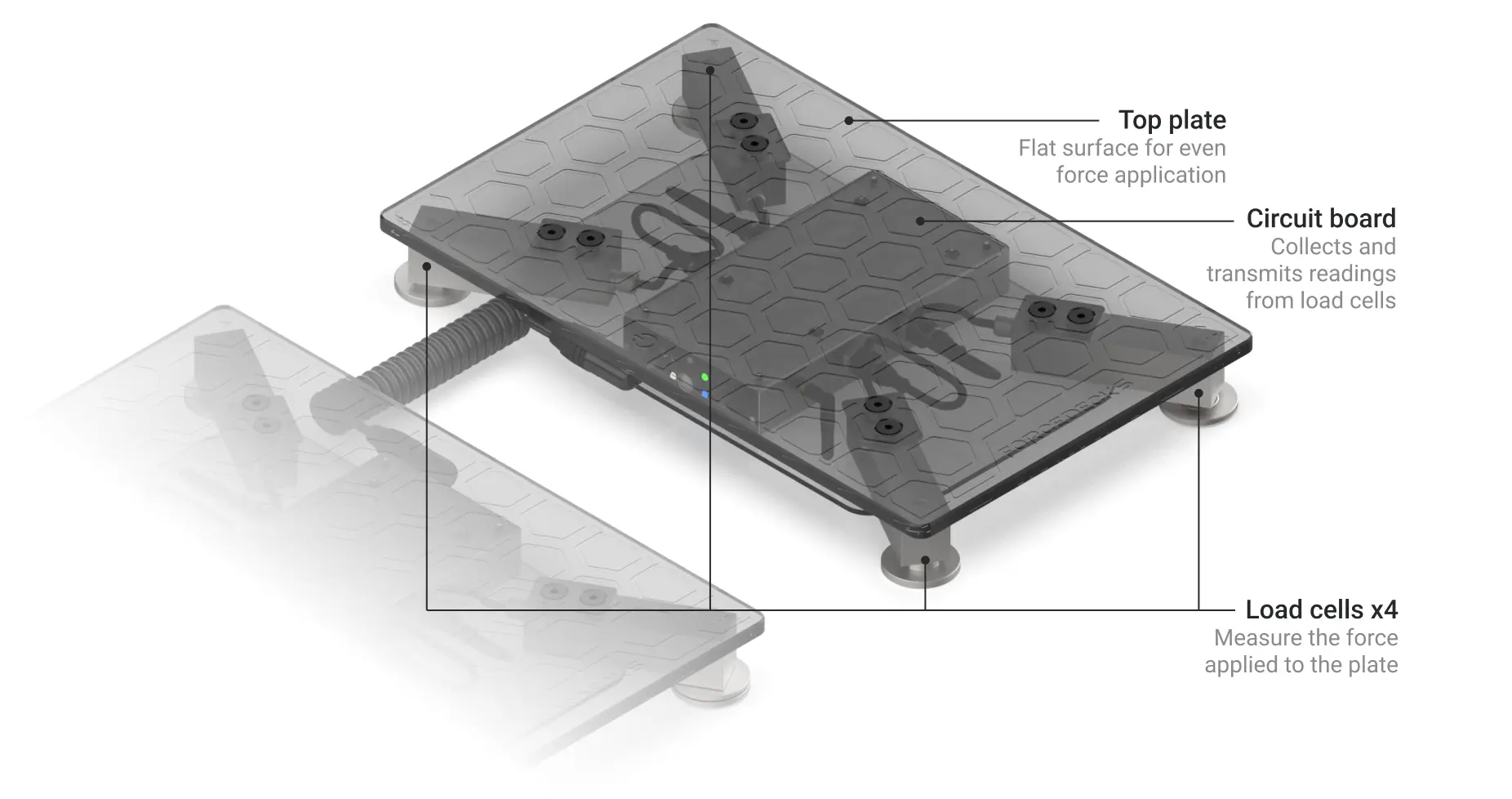 Force Plates 101: What are they and why are they used? | VALD Health